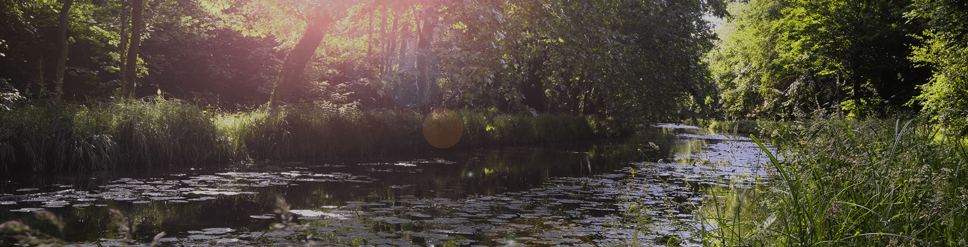 Canal du berry